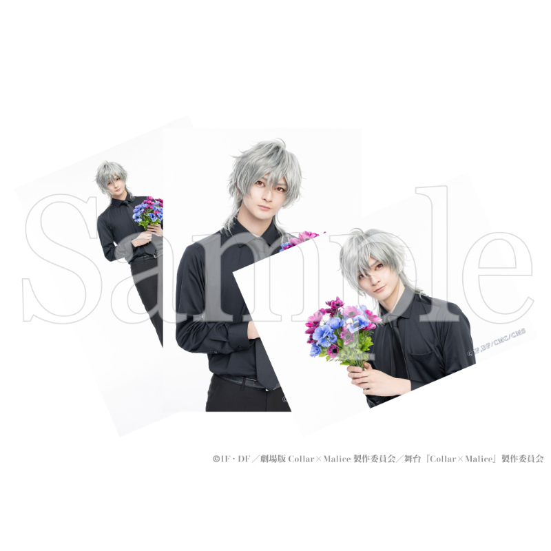 舞台『Collar×Malice -deep cover-』 個人ブロマイド3枚セットB 御國