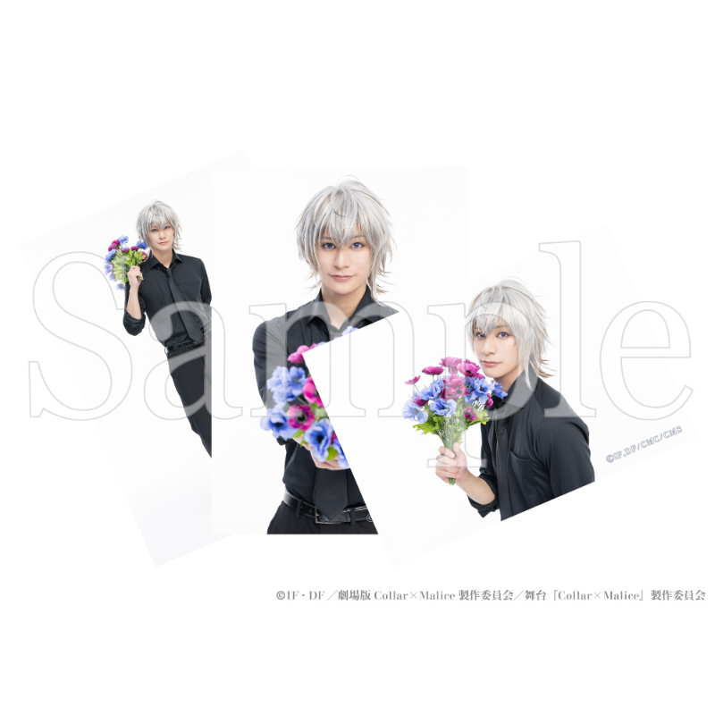 舞台『Collar×Malice -deep cover-』 個人ブロマイド3枚セットB 岡崎契 