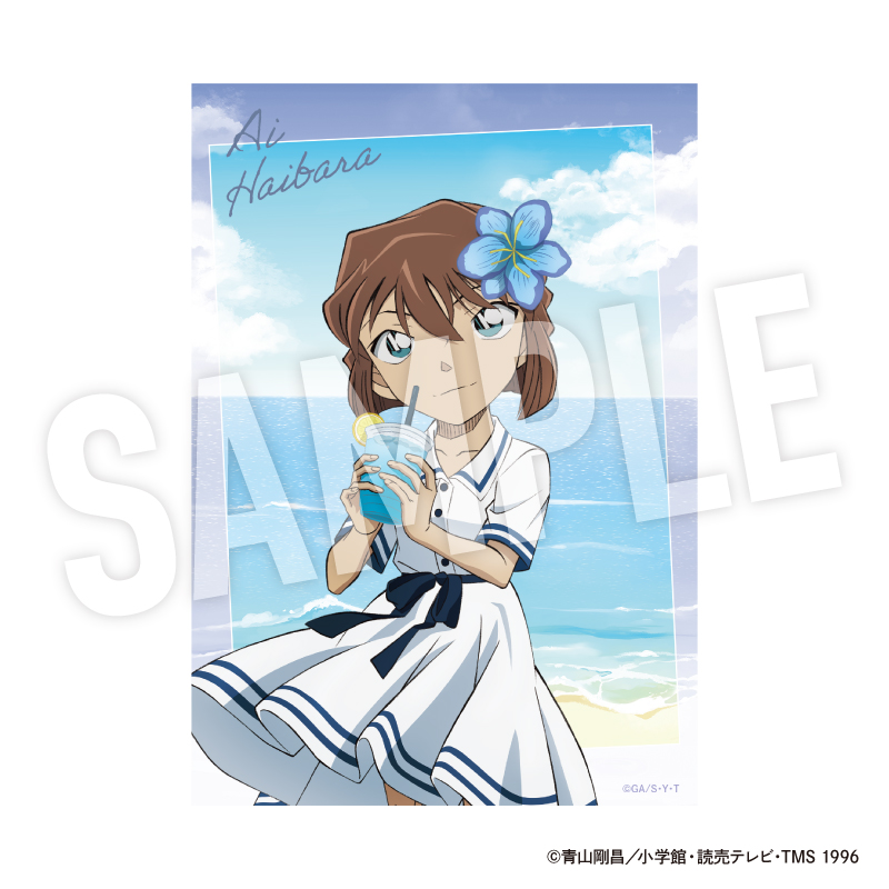 名探偵コナン クリアフォトカードセット Seaside【YTE公式オンライン