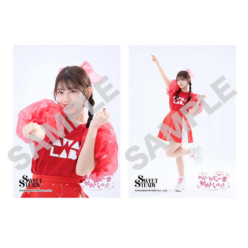 3rd Anniv. SP 生写真L判2枚セット SWEET STEADY(全29種