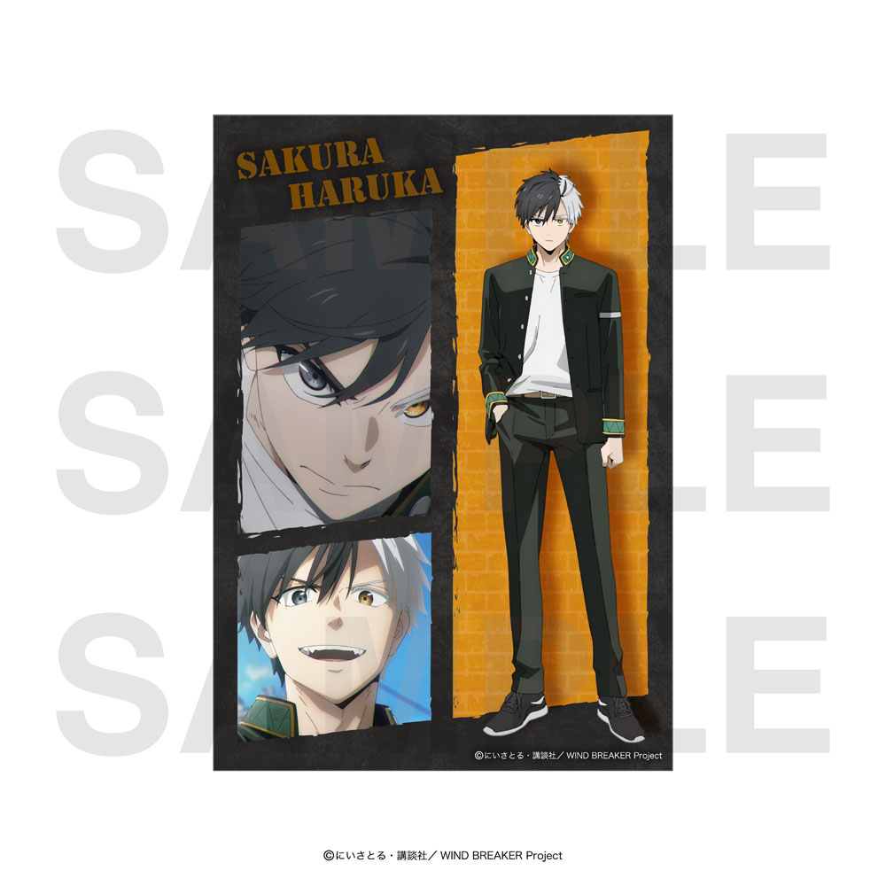 新品未開封ホロヴィッツ・コレクション Amazon.co.jp: Vladimir Horowitz -Complete Original Jacket