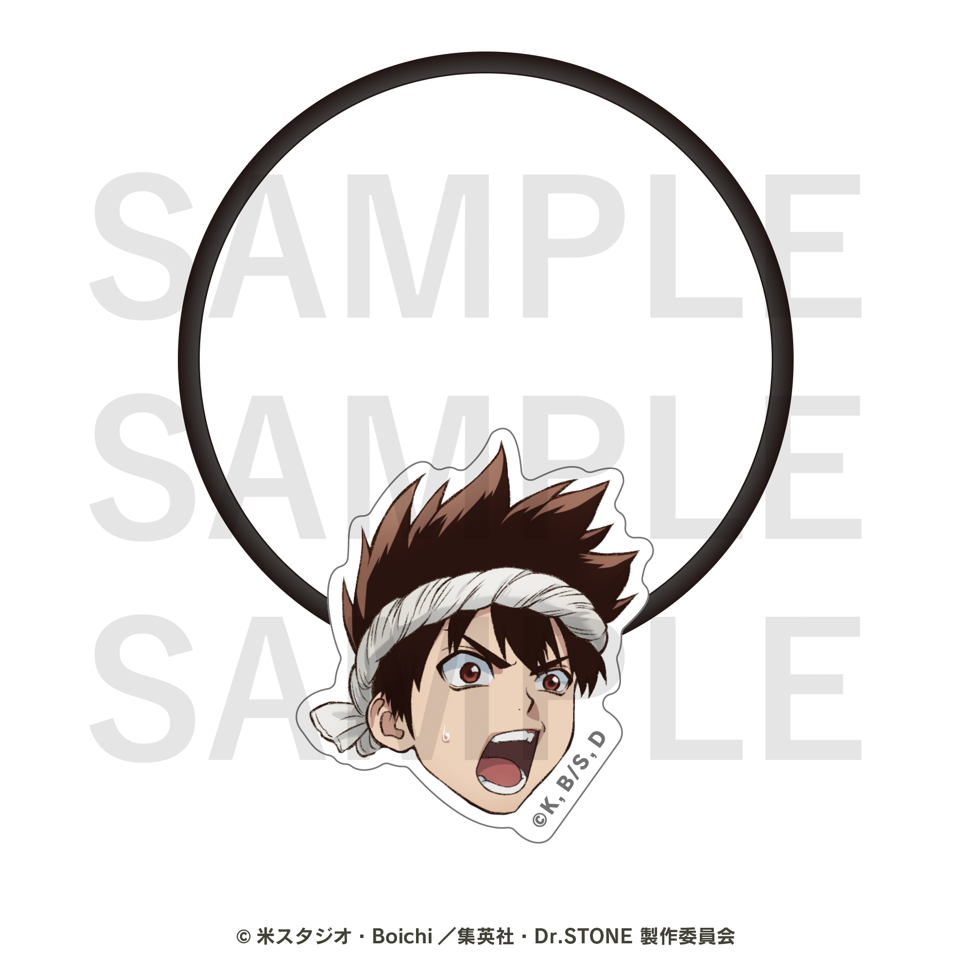 Dr.STONE ヘアゴム クロム【EDITH ONLINE（イーディスオンライン）】