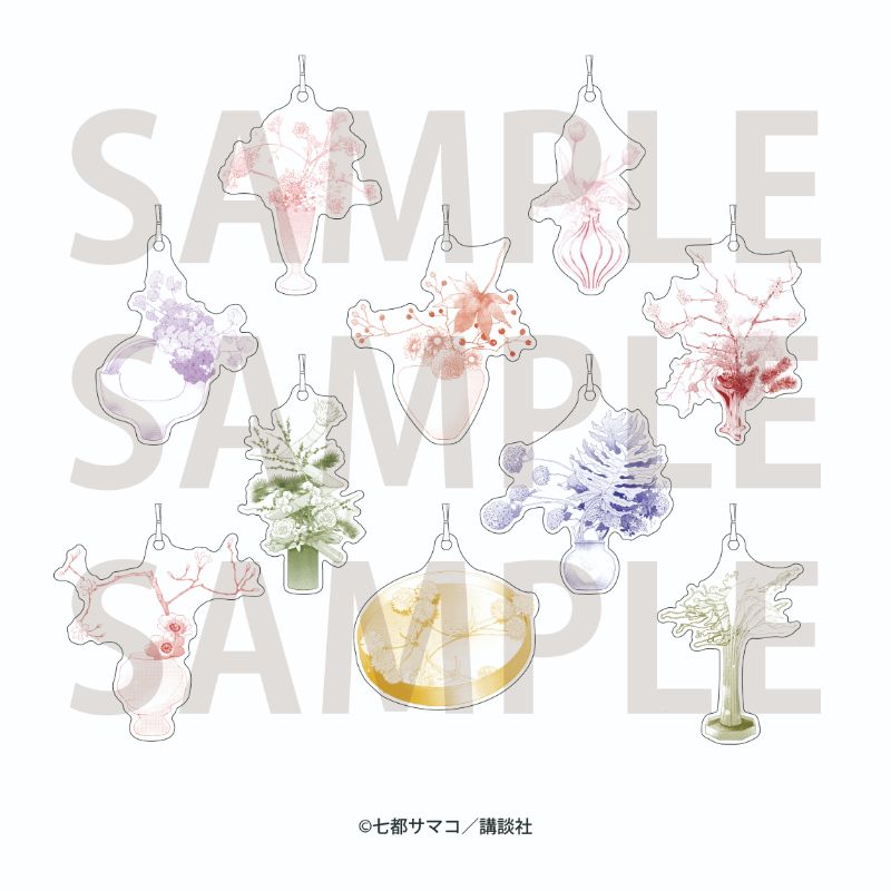 クッションタグAmerican D No.8