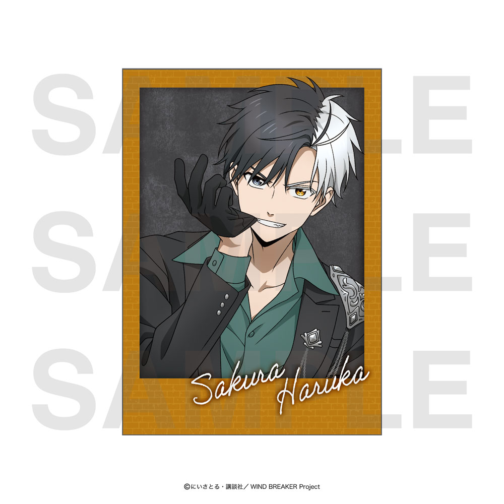 トレーディングインスタントフォト風カード 8枚入りBOX【EDITH ONLINE