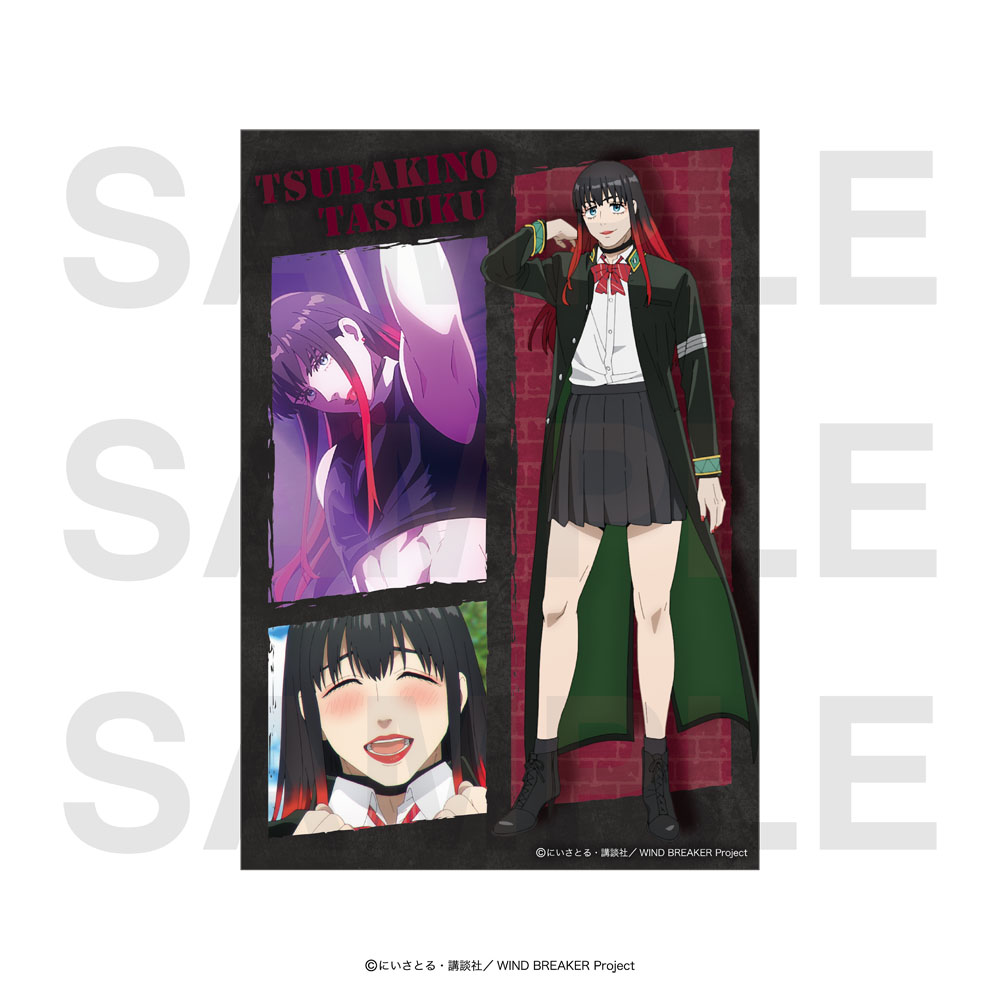 【匿名配送】まほやく　ファウスト　ホロブロマイド　エチュバラ　ホロブロ 新品☆魔法使いの約束【ホワイト】エチュバラ☆ホロブロマイド