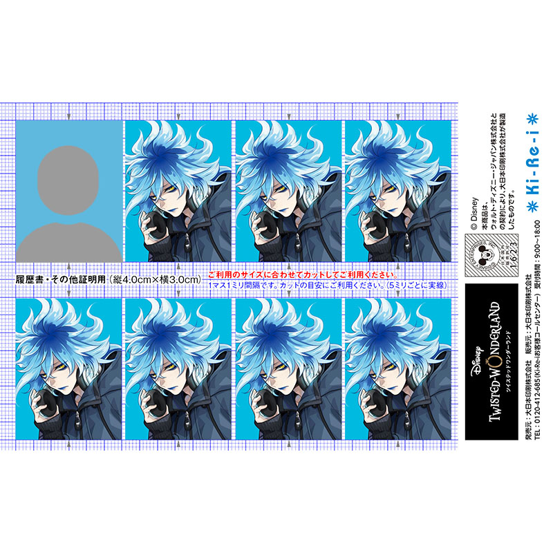 ディズニー ツイステッドワンダーランド 証明写真 イデア・シュラウド