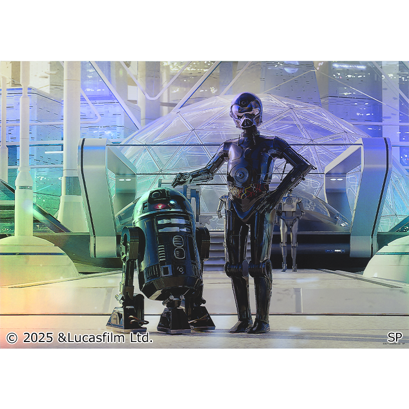 オーロラポスター ＜Obi-Wan Kenobi＞【FUN'S PROJECT MALL】