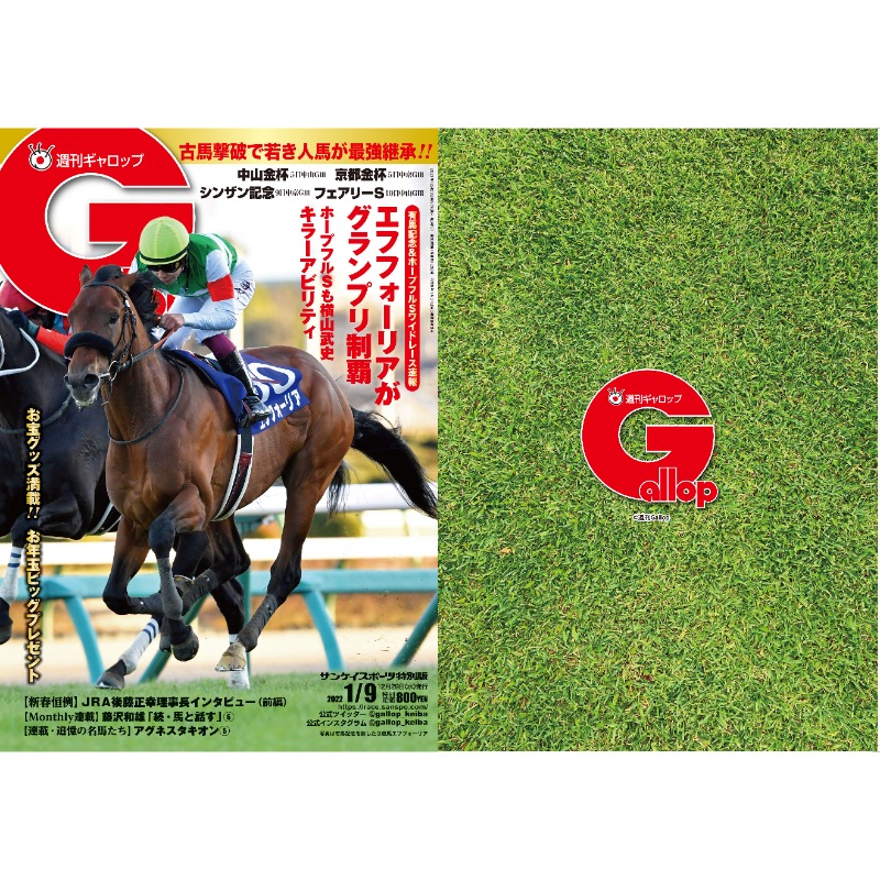 ★ 【有馬記念オリジナル アクリルスタンドライト エフフォーリア】JRA 競馬★ 最終値下有馬記念オリジナル アクリルスタンドライト エフ