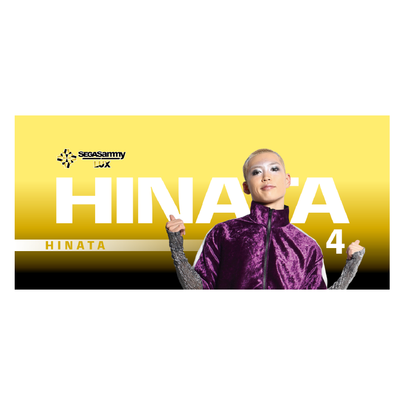 その他【D.LEAGUE OFFICIAL SHOP】