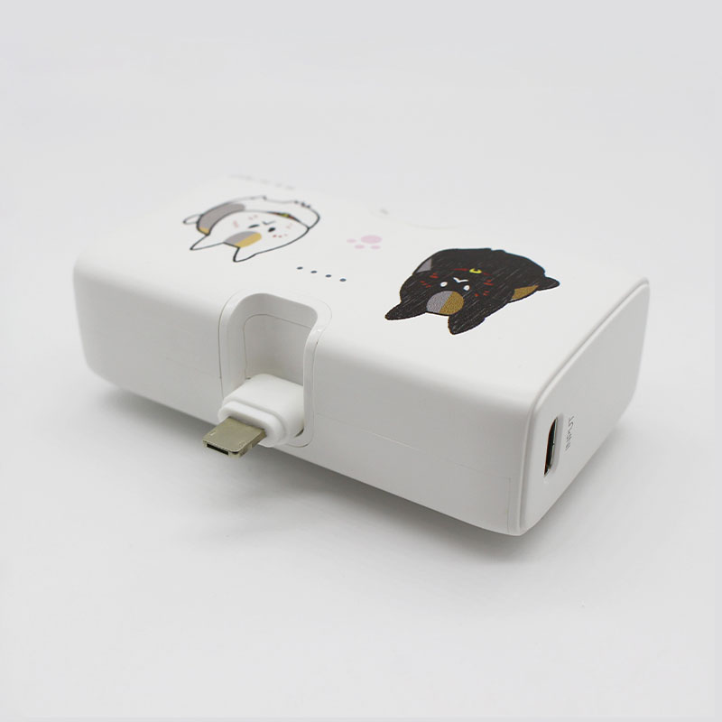 リチウムイオン充電器4000mAh Lightning / Type-C コネクタ付き