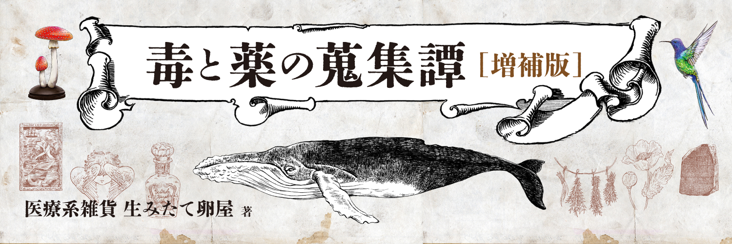 OTONARI