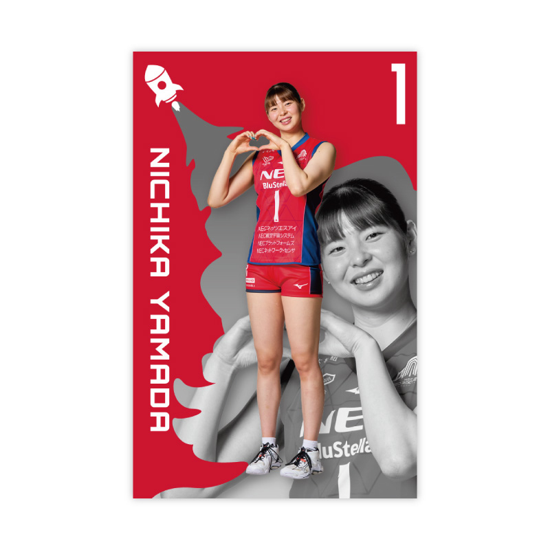 応援グッズ dckyk RED ROCKETS GEAR STORE