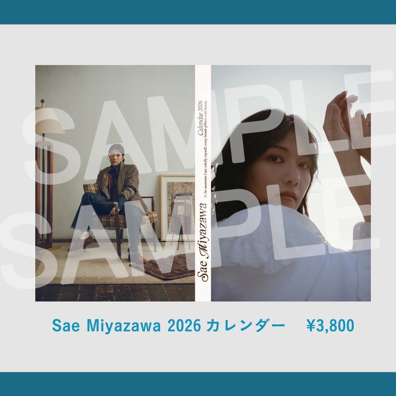 卒業発表！宮澤佐江グッズ バラ売り可 宮澤佐江卒コンは名古屋で、AKB48旧チームKの特別公演も開催決定