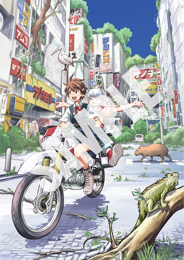 パームスプリングの終末　復刻シネマライブラリーDVD ★☆廃盤希少☆★ パームスプリングの終末 復刻シネマライブラリーDVD 廃盤希少 【公式通販】