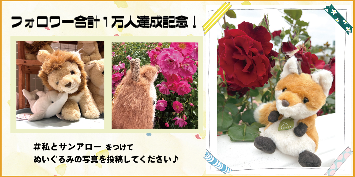 【 期間限定値下げ 】サンアロー テディガール 2OgpWDLchOzk5gUXQci1nS0x8JY3vU