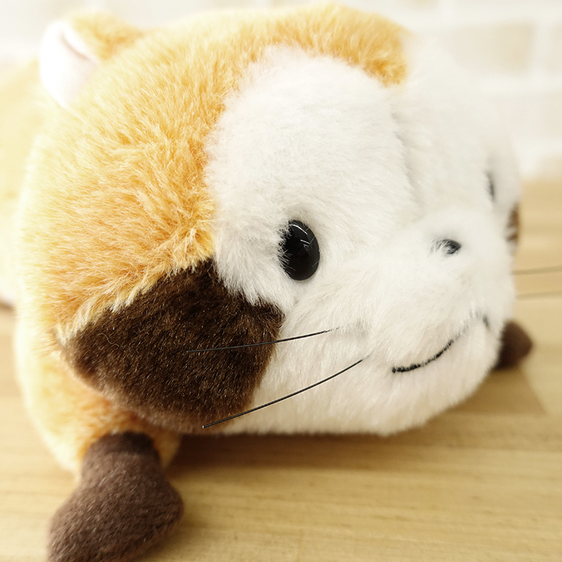 ラスカル確認用