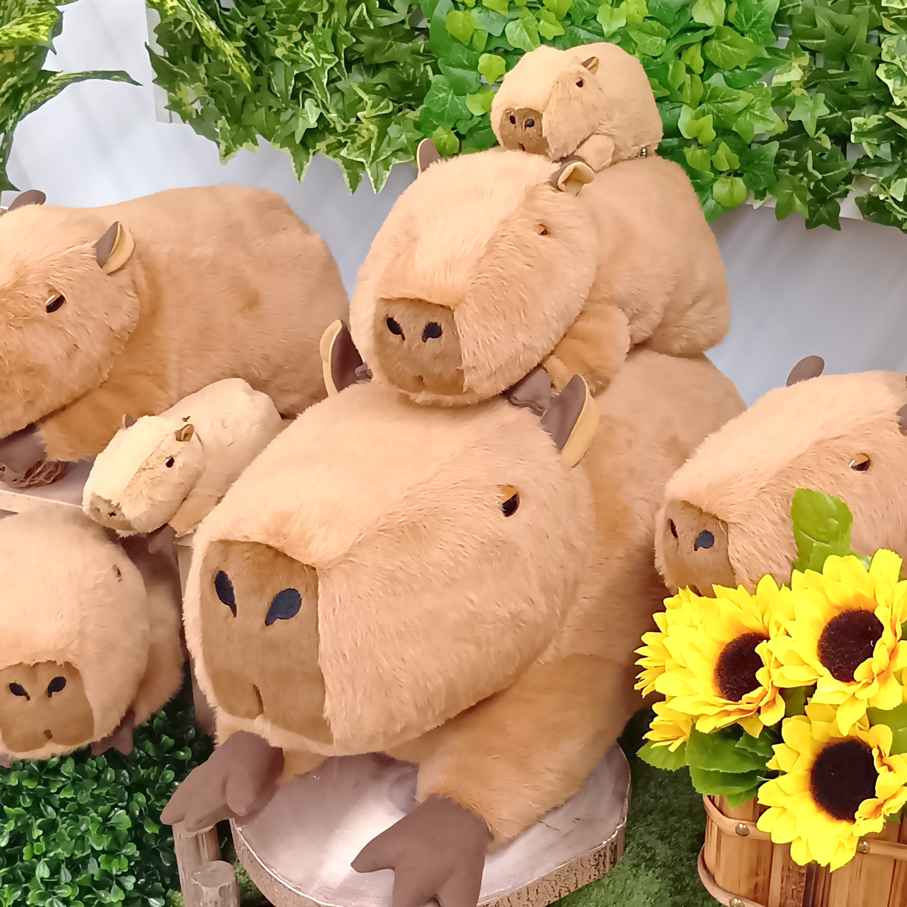 Cushy カピバラ 特大【サン・アロー公式オンラインショップ】