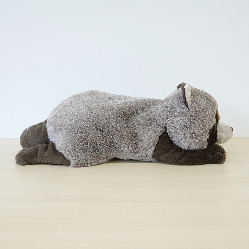 Cushy タヌキ【サン・アロー公式オンラインショップ】