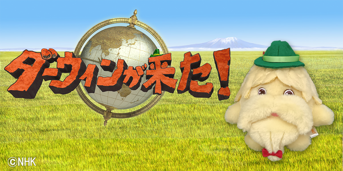 サン・アロー公式オンラインショップ