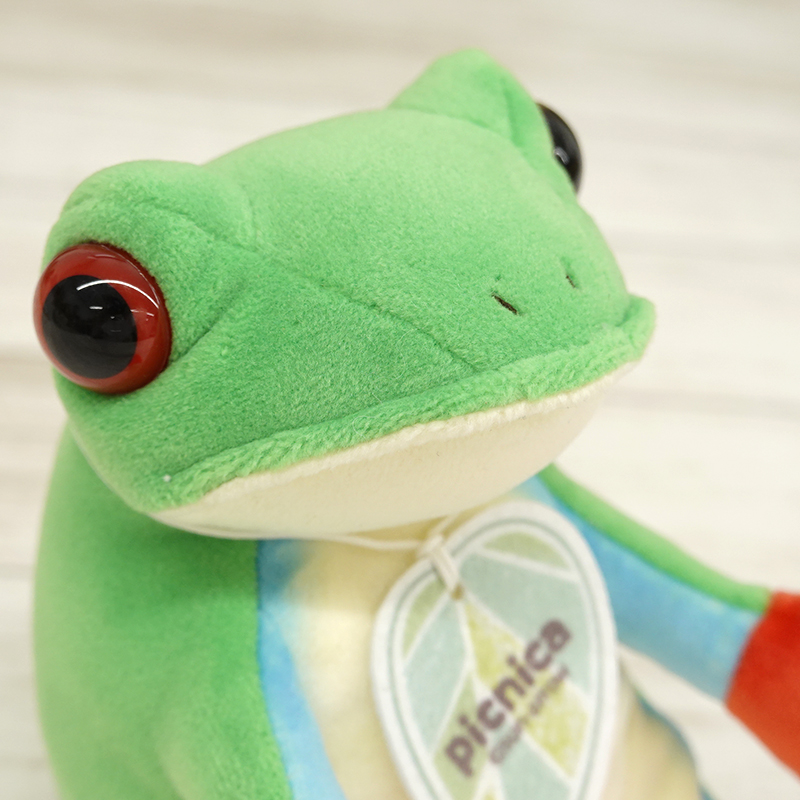 picnica アカメアマガエル【サン・アロー公式オンラインショップ】