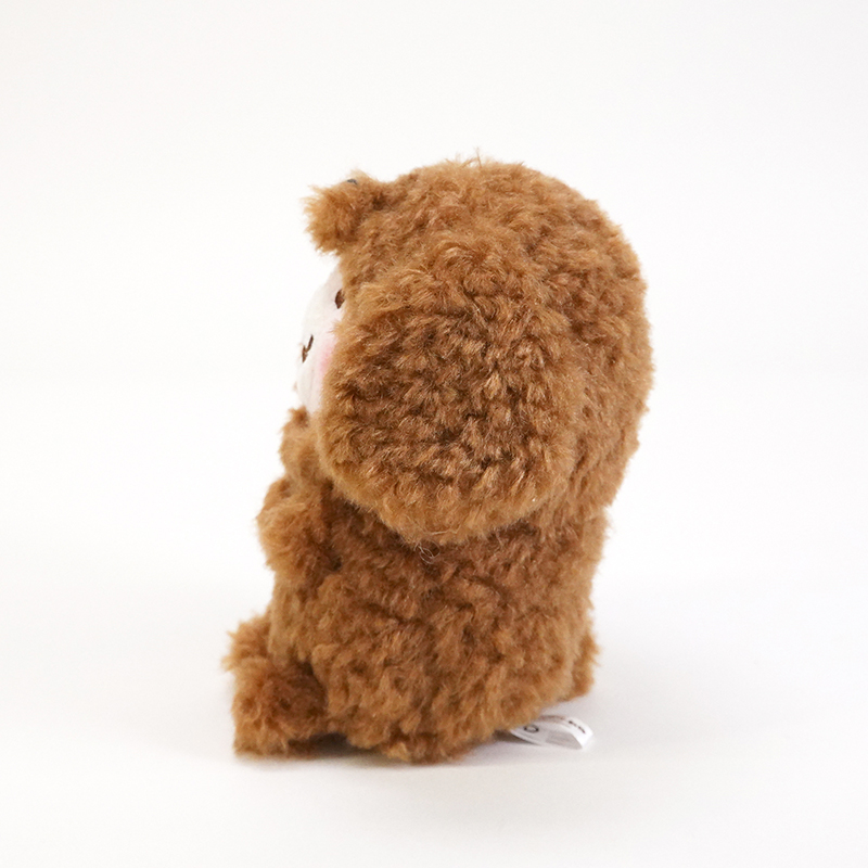 オレンジカルサイトうさぎちゃん&amp;オブシディアン猫ちゃん ネザーランドドワーフ AA3 オレンジ 男の子 うさぎ専門店 うさぎ