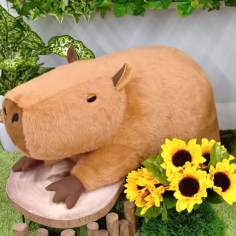 Cushy【サン・アロー公式オンラインショップ】