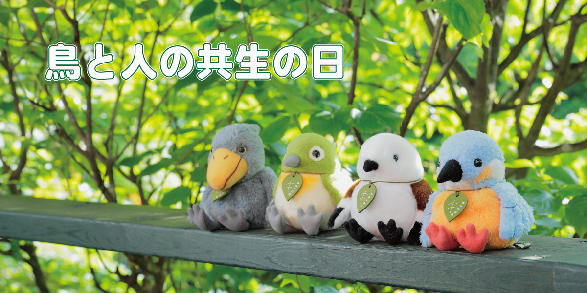 サン・アロー公式オンラインショップ