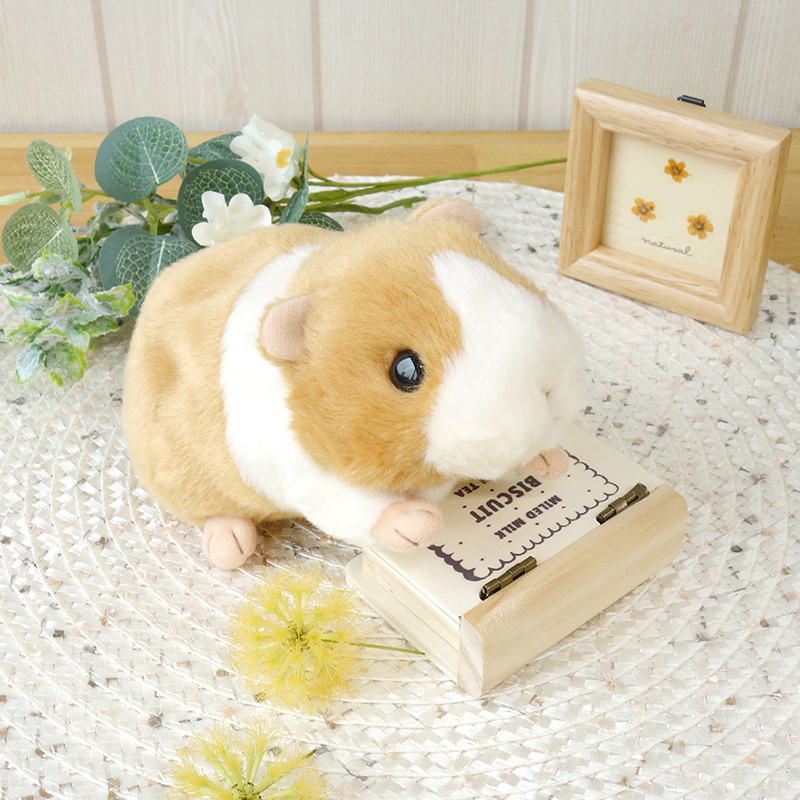 Potte モルモット【サン・アロー公式オンラインショップ】