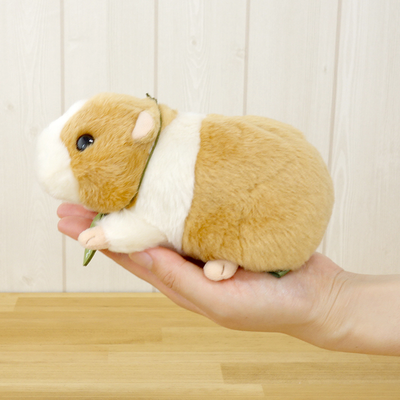 Potte モルモット【サン・アロー公式オンラインショップ】