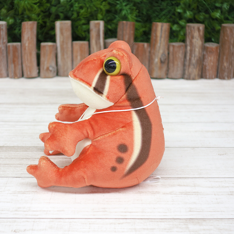 picnica サビトマトガエル【サン・アロー公式オンラインショップ】