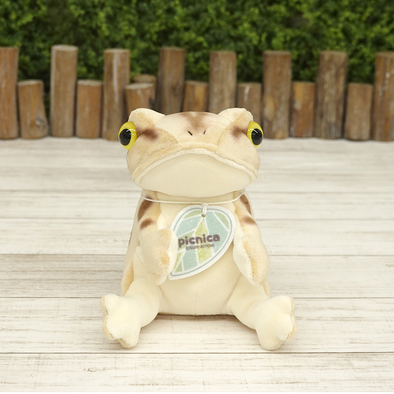 picnica トノサマガエル【サン・アロー公式オンラインショップ】