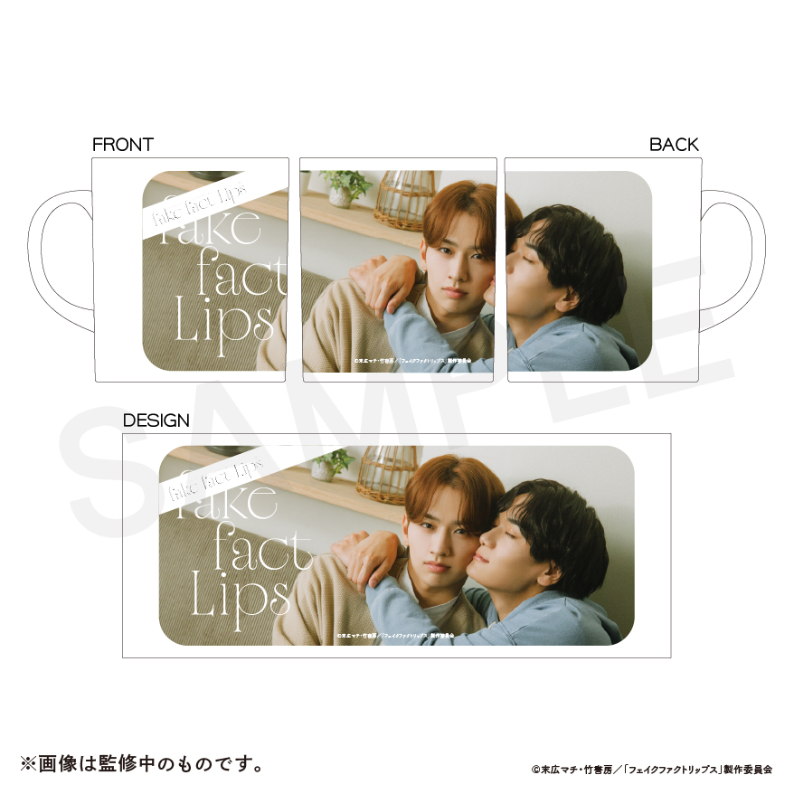 ドラマ「フェイクファクトリップス」受注販売【ともすと】