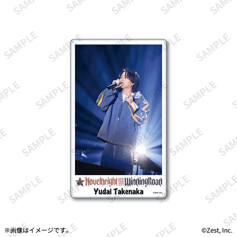 【新品未開封】【レコード】I Used to Think I Could Fly Winding Road アリーナツアー記念 フォトカード（全5種）【Fan