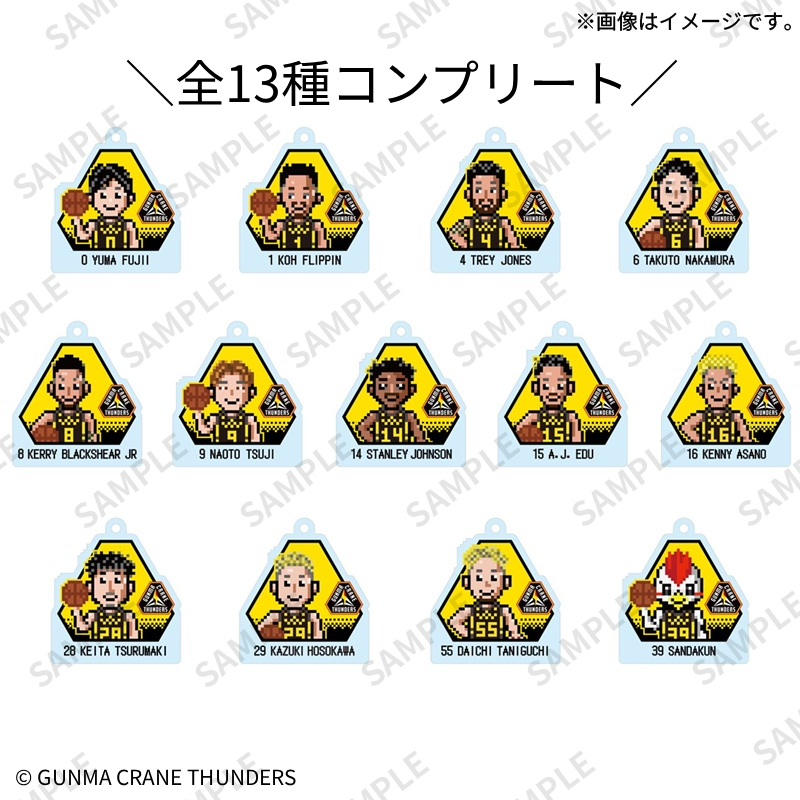 トレーディングアクリルキーホルダー(全13種)【Fan-Xross モール®】