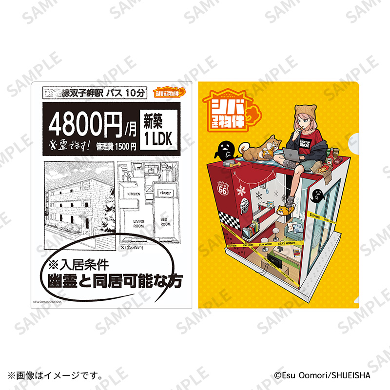 クリアファイル【Fan-Xross モール®】