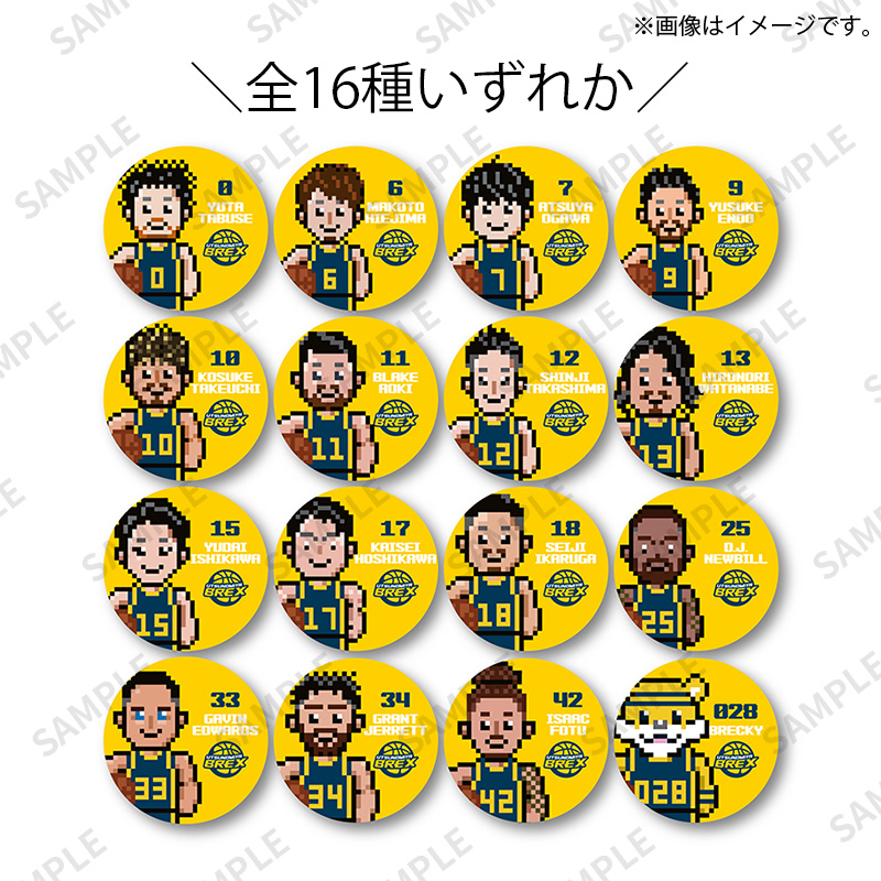 缶バッジ【Fan-Xross モール®】