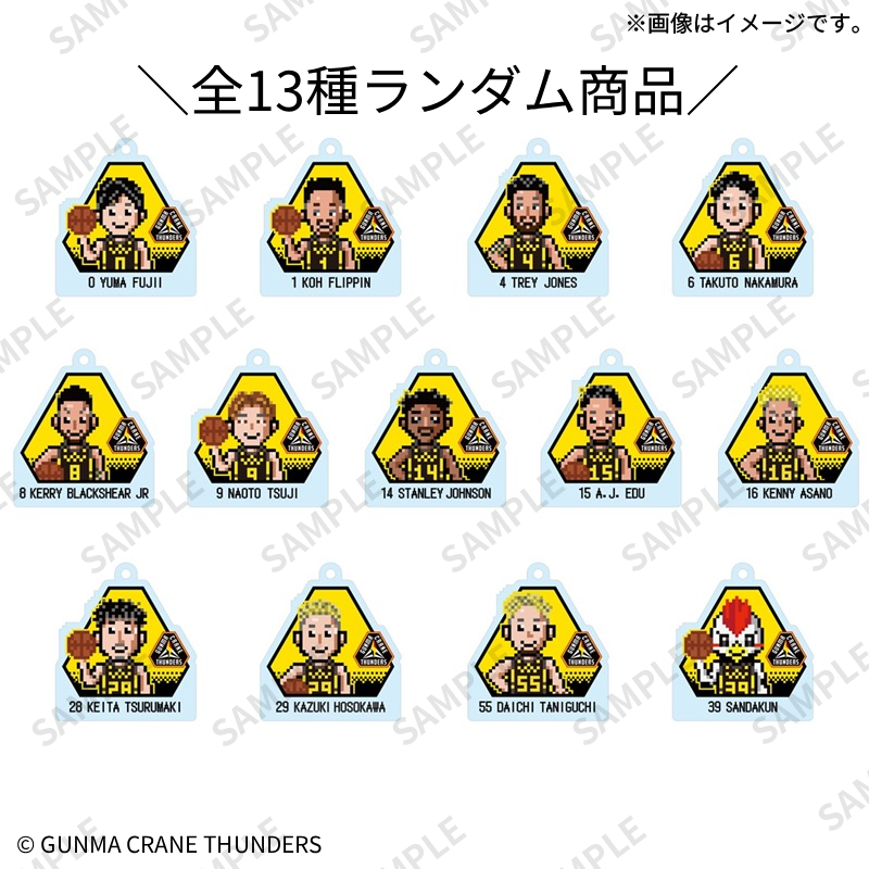 トレーディングアクリルキーホルダー(全13種)【Fan-Xross モール®】