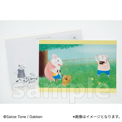 ポストカード【Fan-Xross モール®】