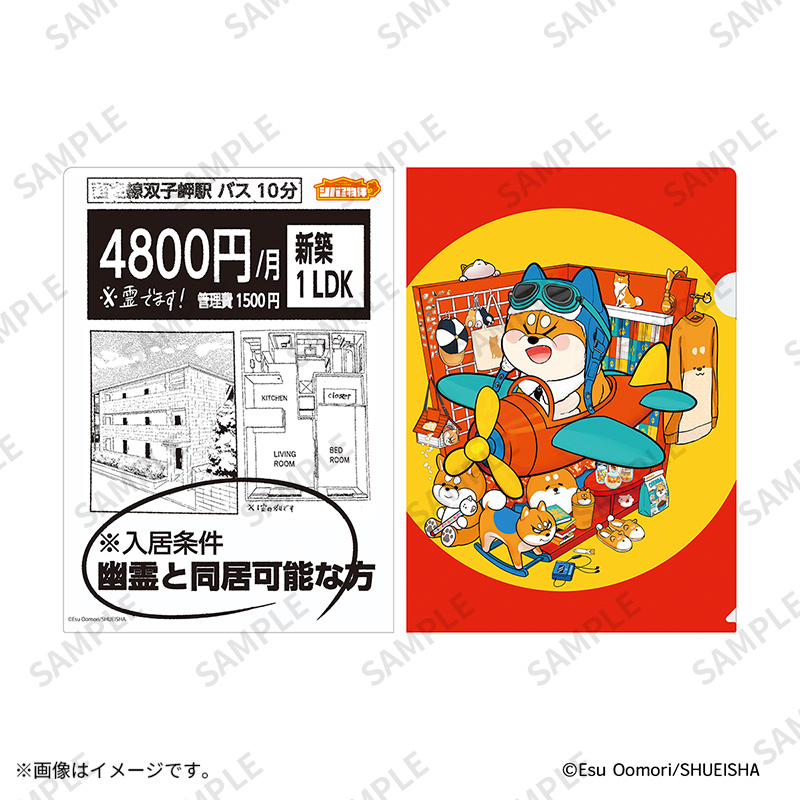 クリアファイル【Fan-Xross モール®】