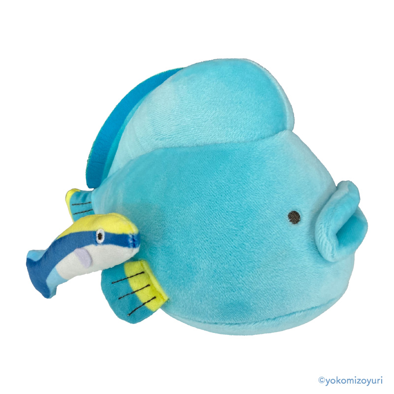 水族館のなかまたち〜 ぬいぐるみ （ナポレオンフィッシュ