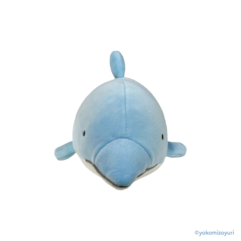 水族館のなかまたち〜 ぬいぐるみ （バンドウイルカ）【なんでも