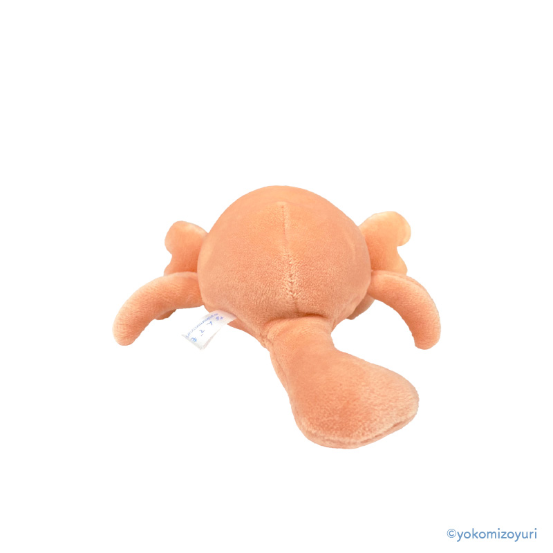 【新品】ジェリーキャット ヤドカリ  水族館 新品】ジェリーキャット ヤドカリ jellycat 水族館の通販 by